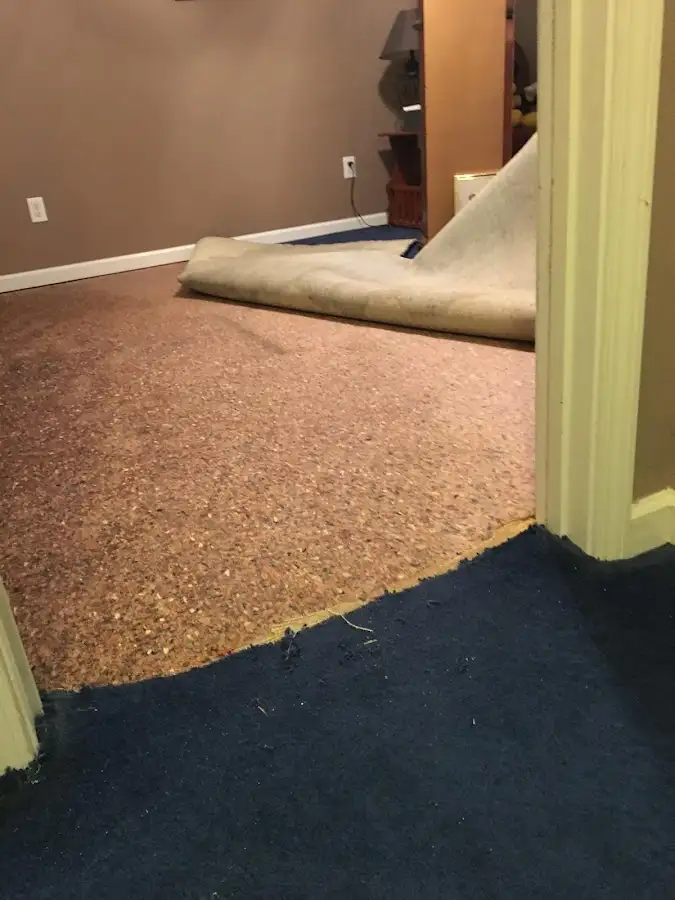 Carpet pad removal revealing water damage during Drying & Dehumidification in Four Corners